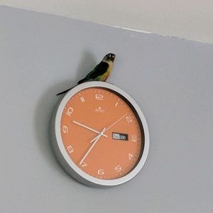 Meet your Posher, Loredana